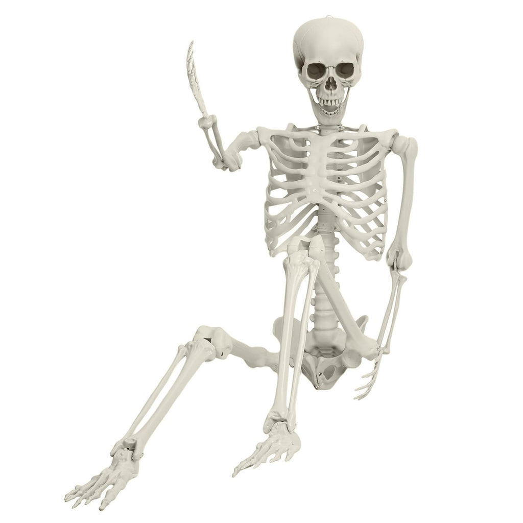 Life Size Posable Skeleton Prop M788