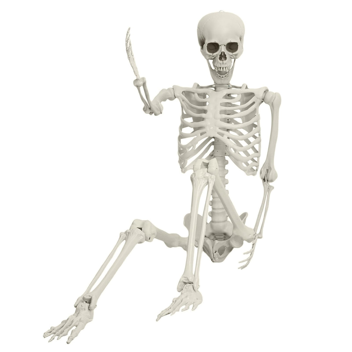 Life Size Posable Skeleton Prop M788