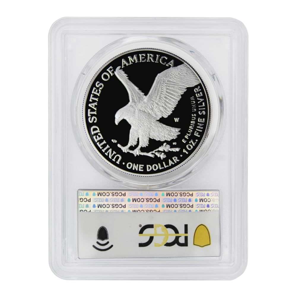 1 oz American Silver Eagle Coin Z79230