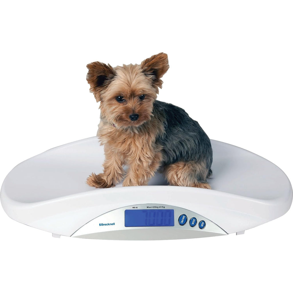 44 lb x 0.01 lb Medical Veterinary Scale D255