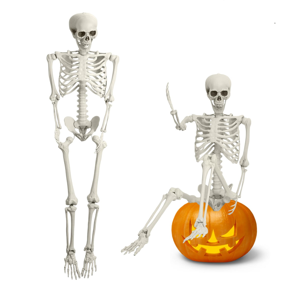 5.4FT Posable Full Body Skeleton with Movable Joints U11711