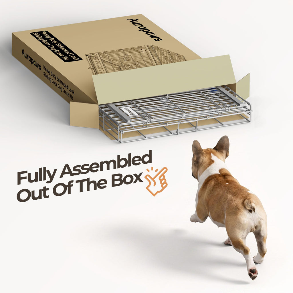 36 Inch Collapsible Dog Crate H900