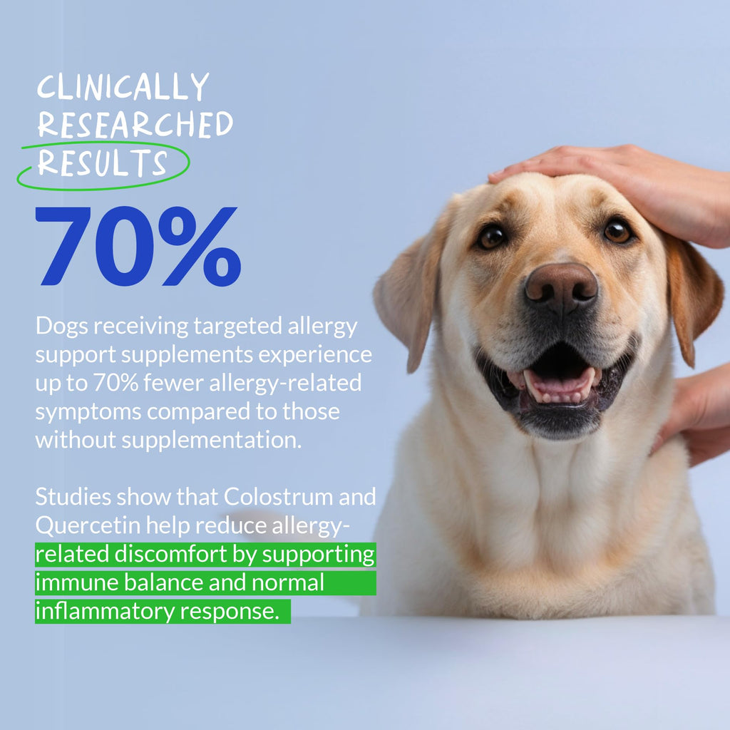 Allergy Relief for Dogs 120 Tablets S79837