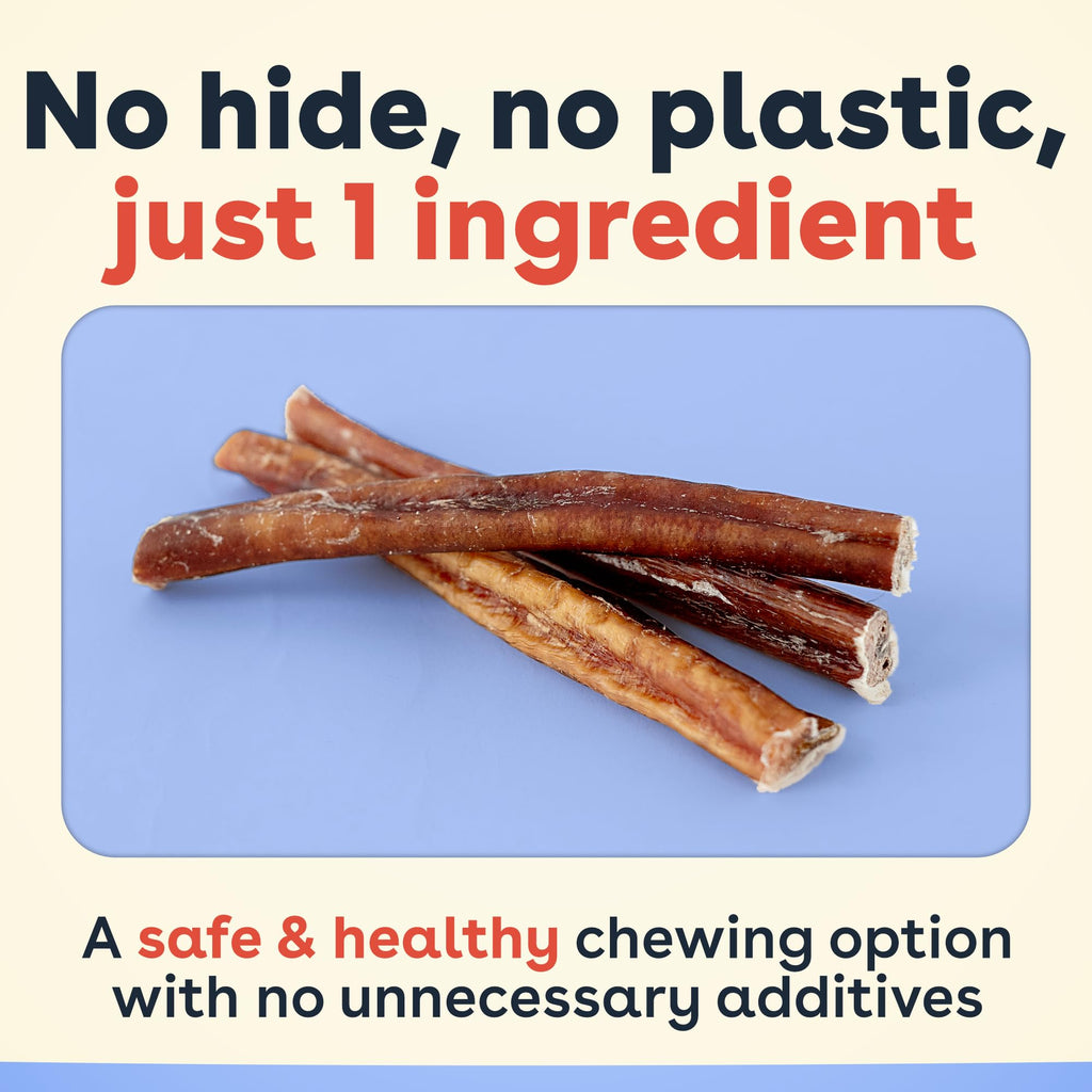 Bully Sticks for Dogs & Puppies, 6", 10 Count Q2319