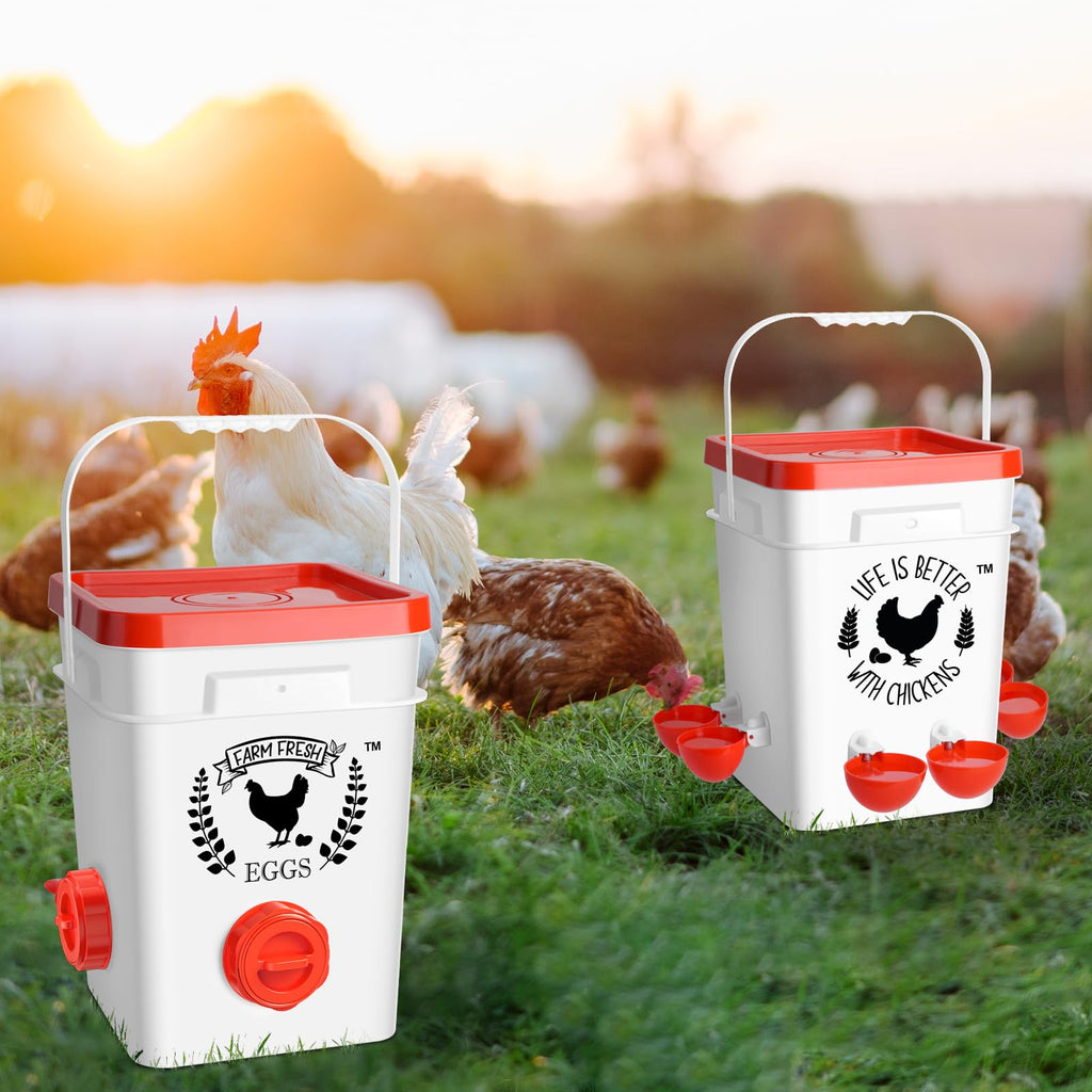 5Gal/25Lb Chicken Feeder and Waterer Set with S-Hooks U865164