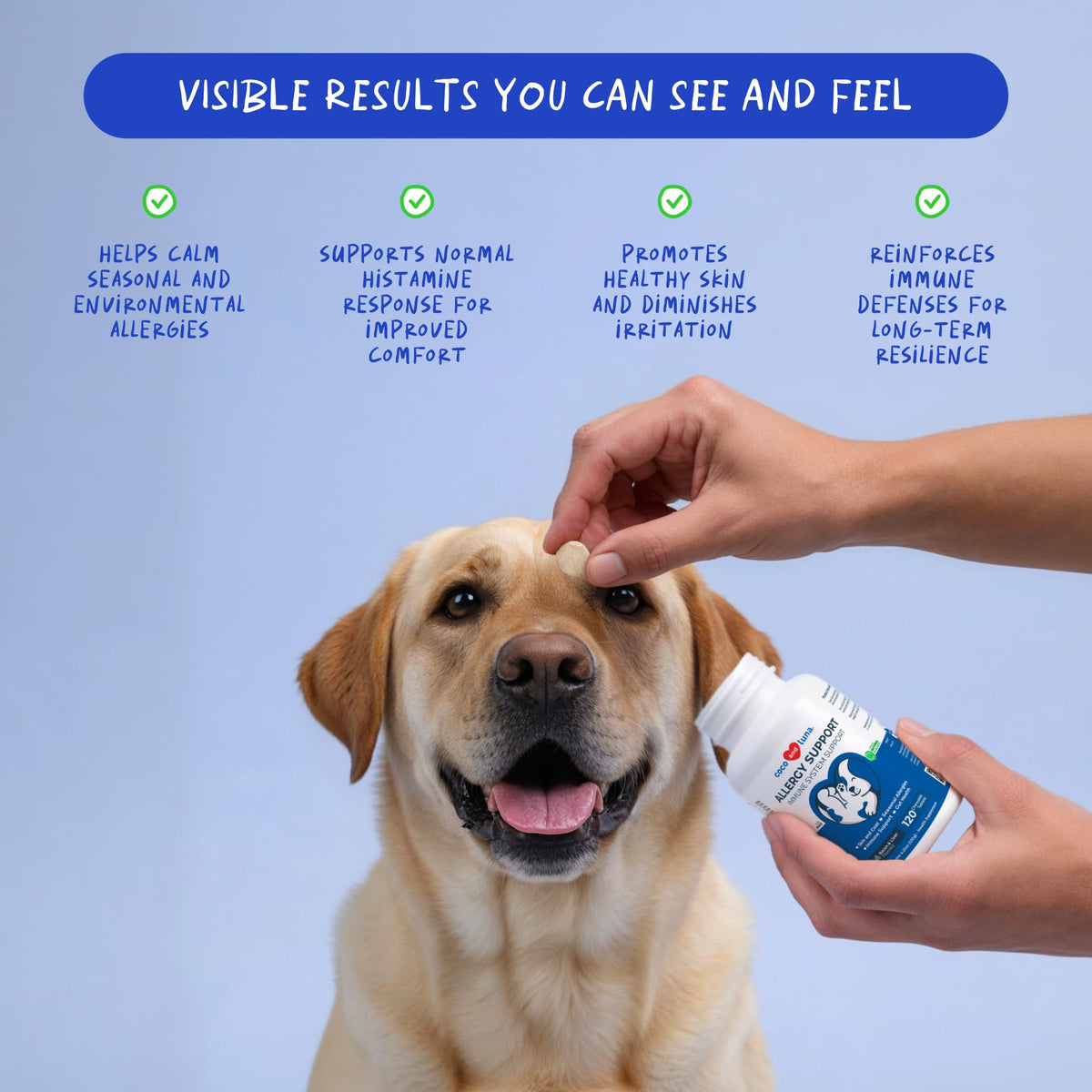Allergy Relief for Dogs 120 Tablets S79837