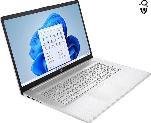 17.3" Full HD Laptop, AMD Ryzen 5, 8GB RAM, 512GB SSD, Natural Silver G111830
