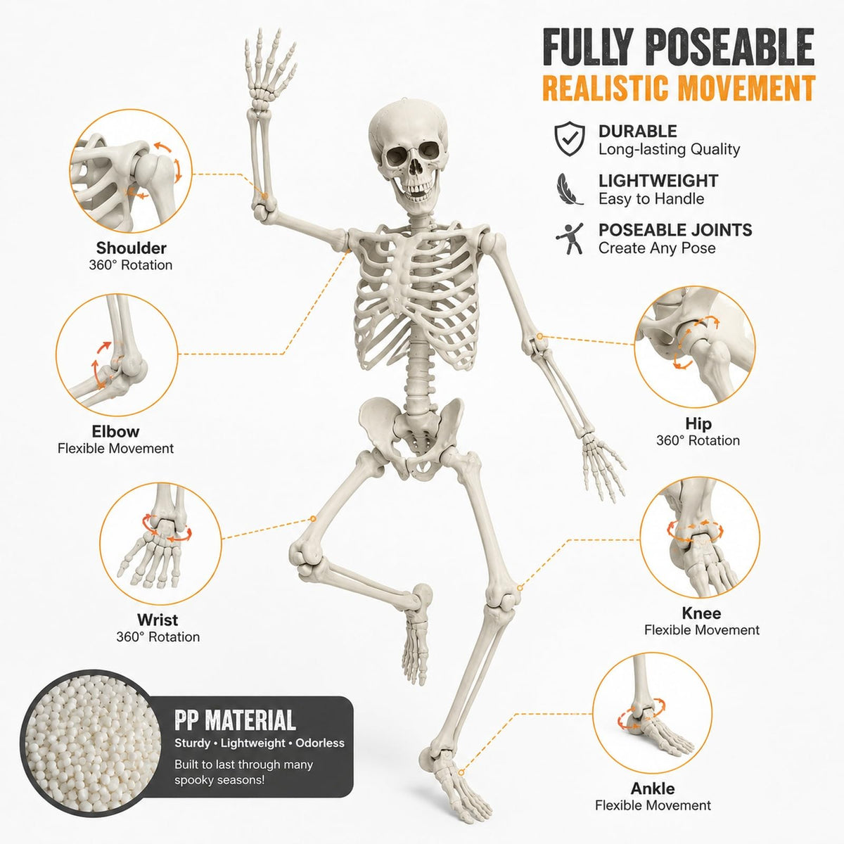Life Size Posable Skeleton Prop M788