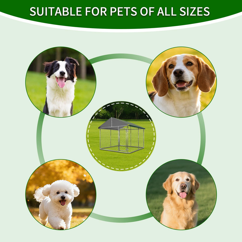Large Outdoor Dog Kennel with Roof, Heavy Duty Galvanized Steel, 10'x10' Lockable D8252