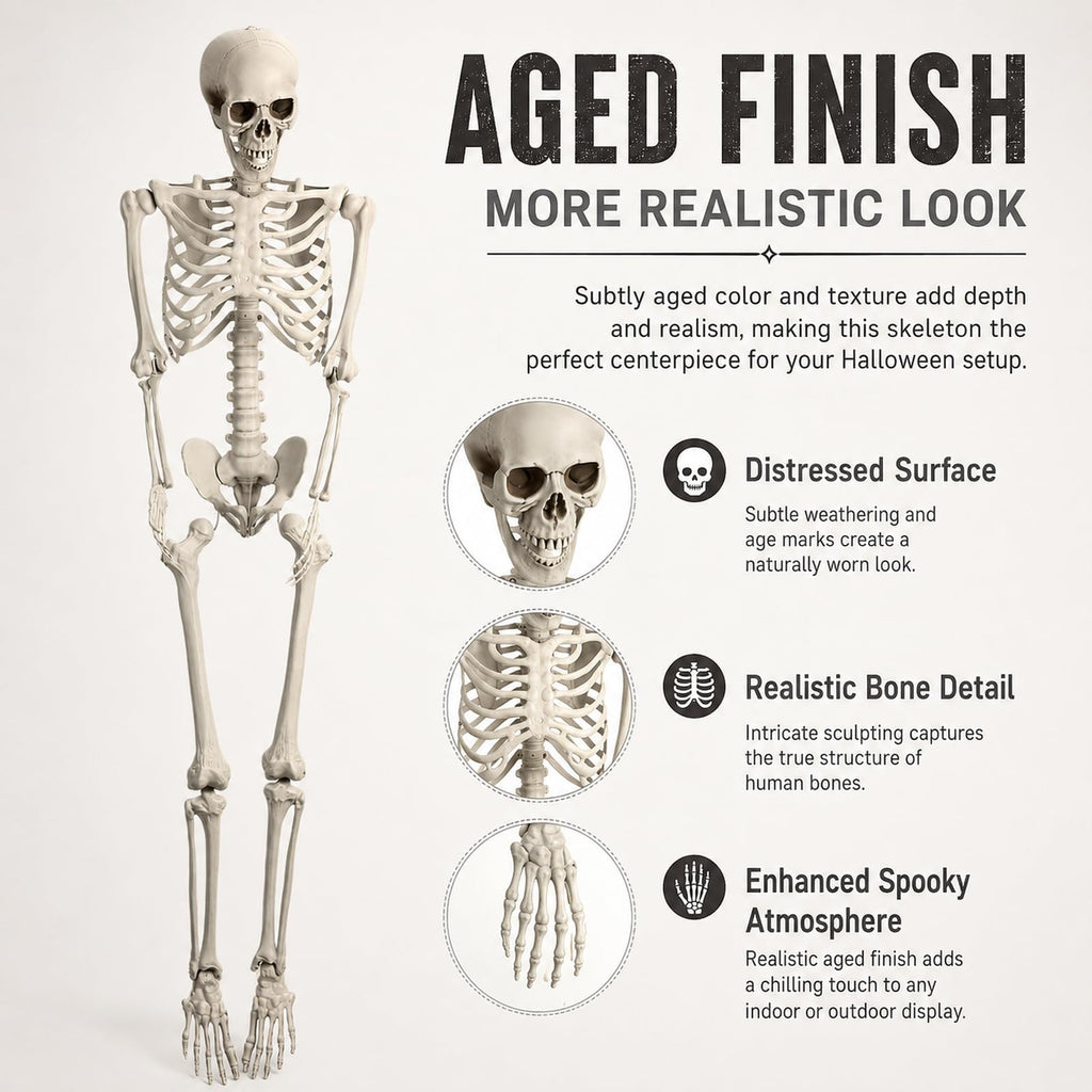 Life Size Posable Skeleton Prop M788