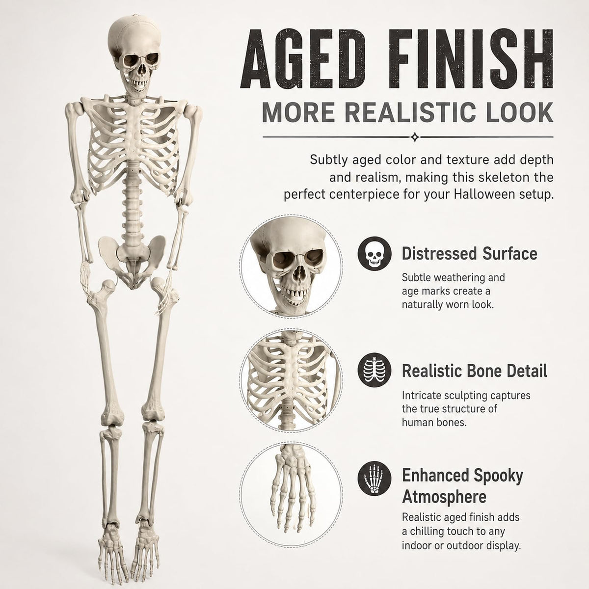 Life Size Posable Skeleton Prop M788