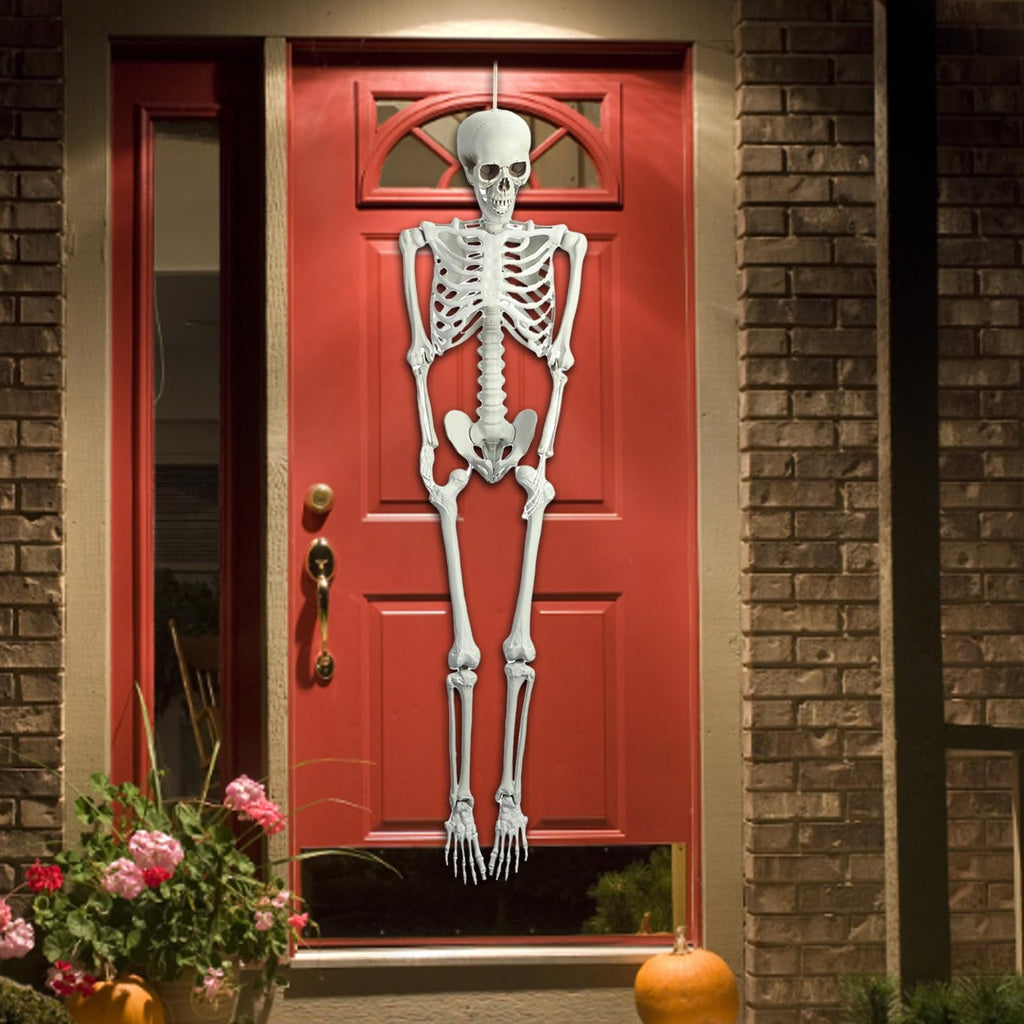 Life Size Posable Skeleton Prop M788