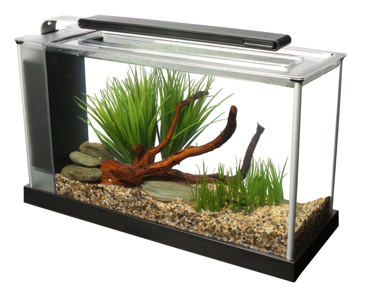 5-Gallon Aquarium Kit B20948