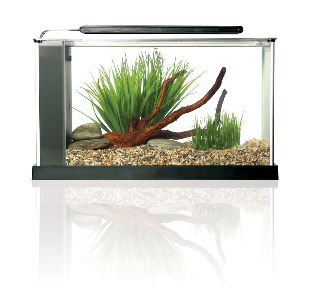 5-Gallon Aquarium Kit B20948