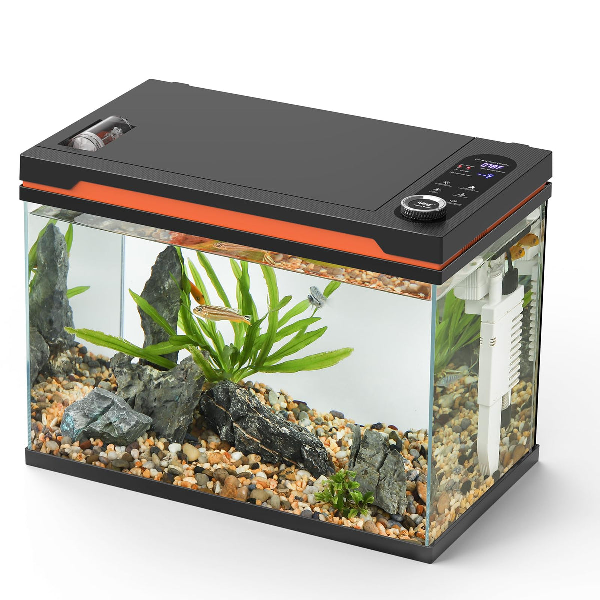 10 Gallon Glass Aquarium Starter Kit with Light Heater Pump Filter E163699