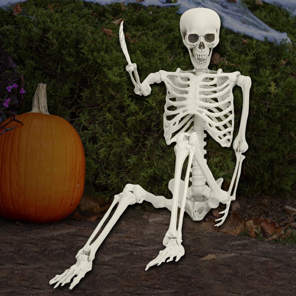 Life Size Posable Skeleton Prop M788