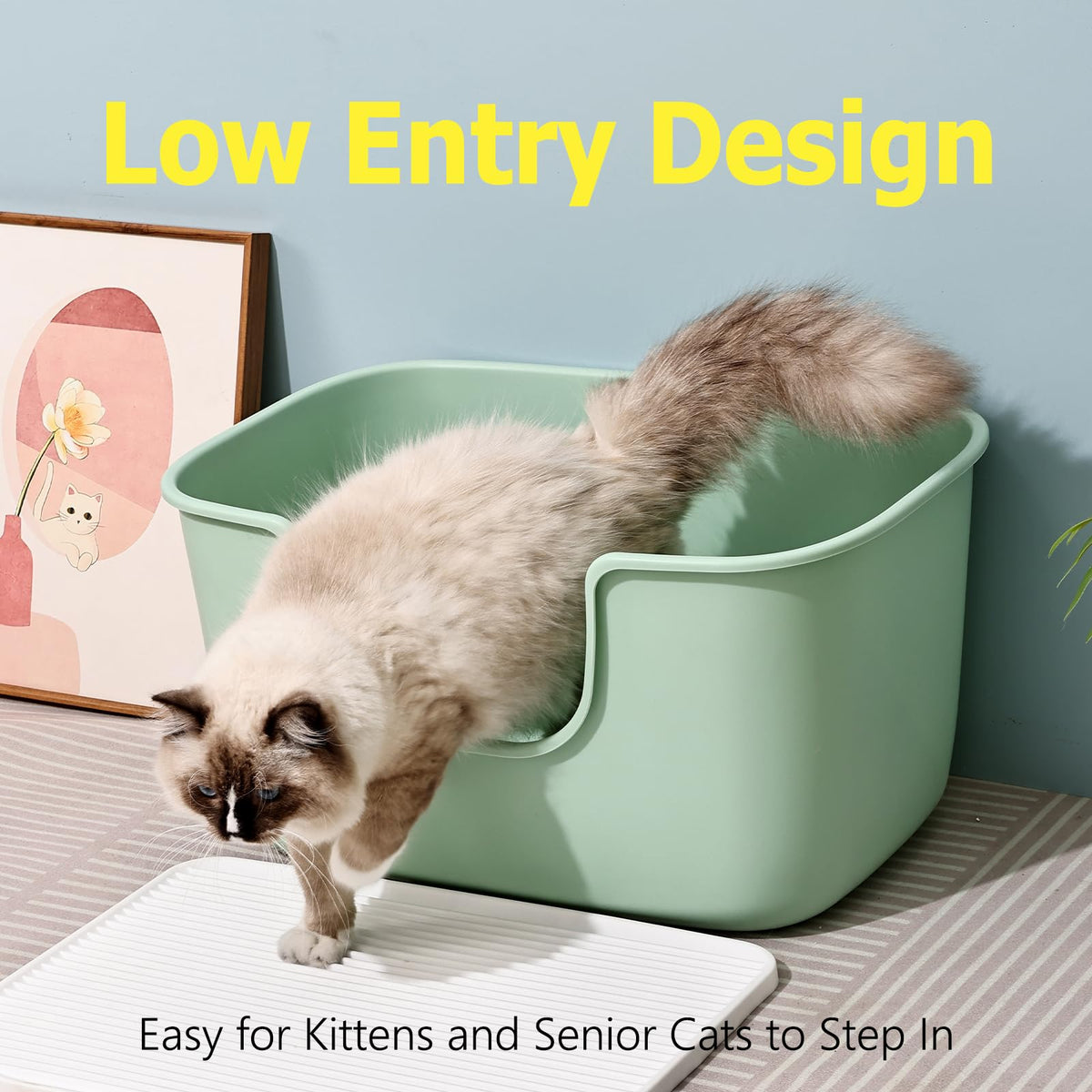 Extra Large Low Entry Cat Litter Box with High Sides Y770