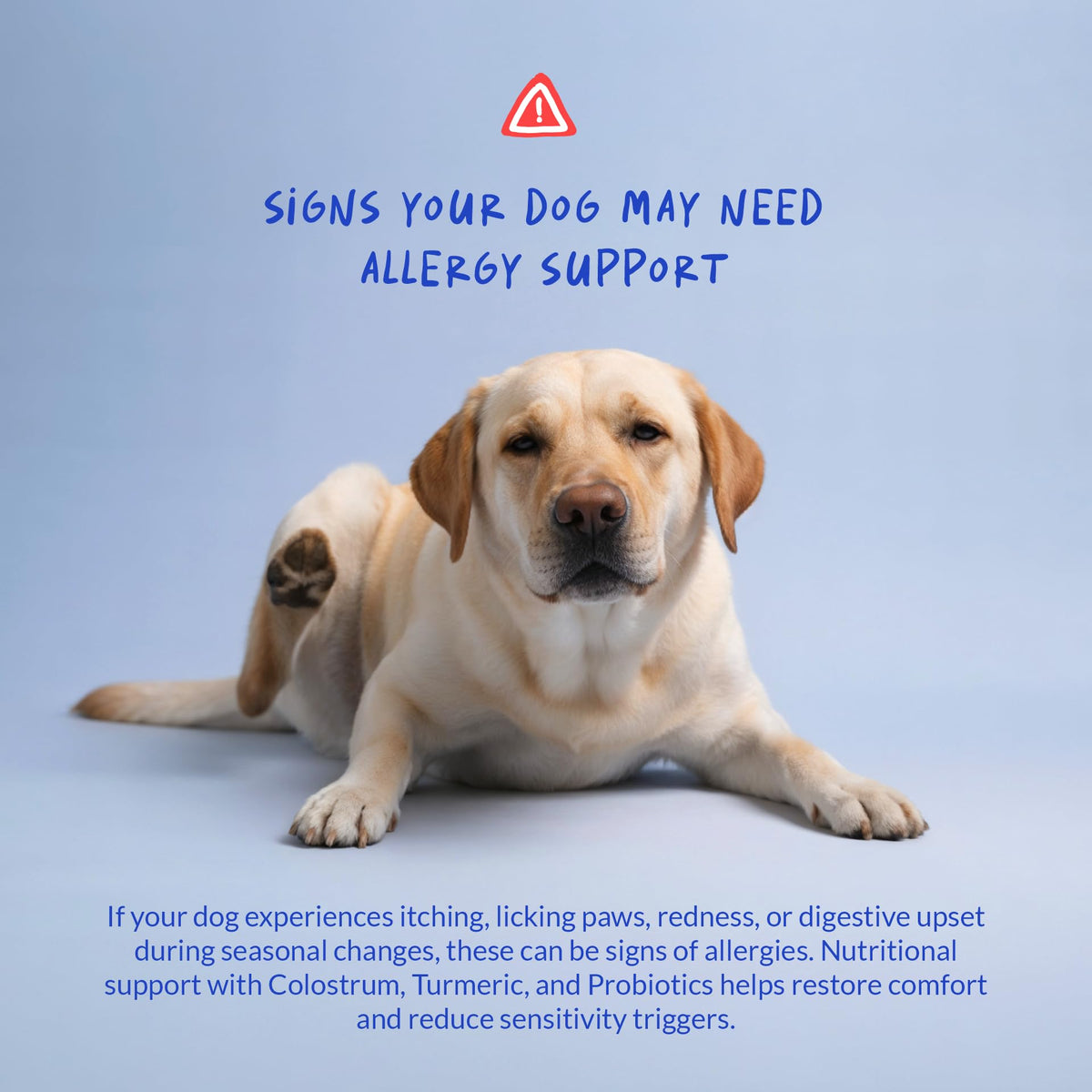 Allergy Relief for Dogs 120 Tablets S79837