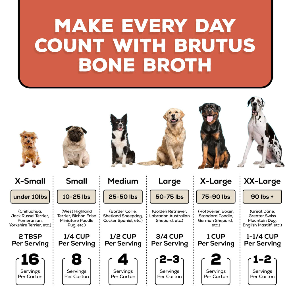 Bone Broth for Dogs with Chondroitin Glucosamine Turmeric 16.9oz Pack of 6 W643072