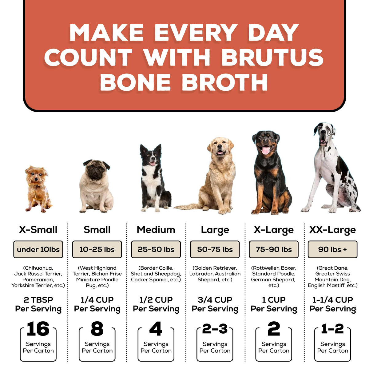 Bone Broth for Dogs with Chondroitin Glucosamine Turmeric 16.9oz Pack of 6 W643072