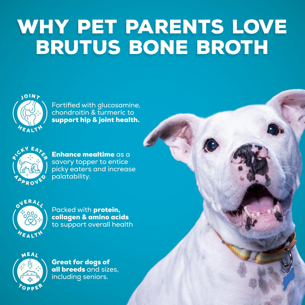 Bone Broth for Dogs with Chondroitin Glucosamine Turmeric 16.9oz Pack of 6 W643072