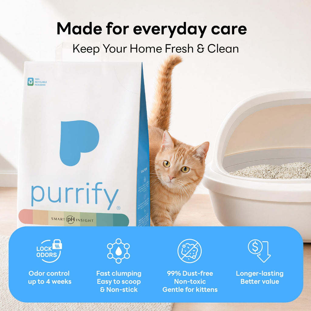 Plant-Based Tofu Cat Litter with Cassava, Color-Changing, Fast Clumping, Unscented 10 lb C192045