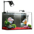 3 Gallon Ultra-Clear Glass Fish Tank with Filter and Led Light N73259