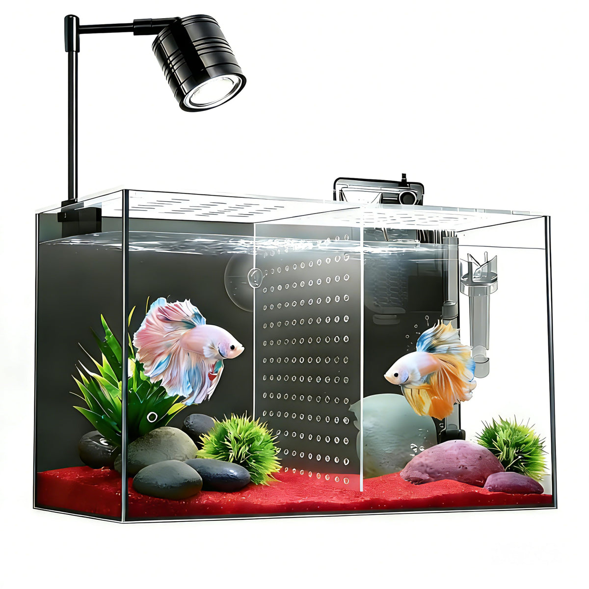 3 Gallon Ultra-Clear Glass Fish Tank with Filter and Led Light N73259