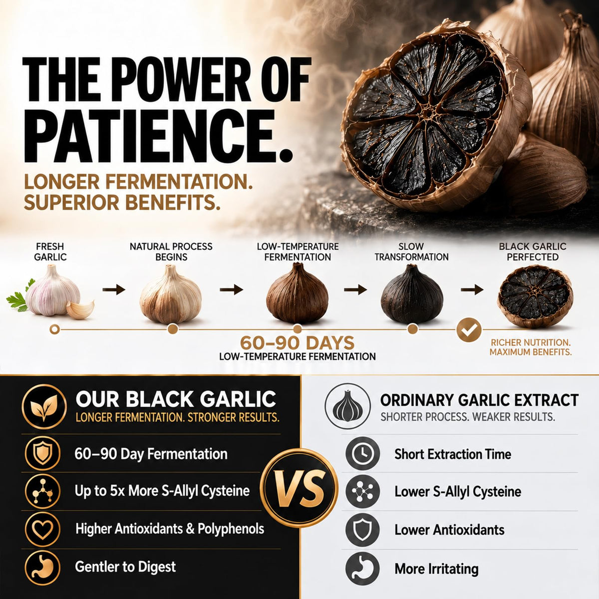 Black Garlic Extract Softgels 300 Count Y201