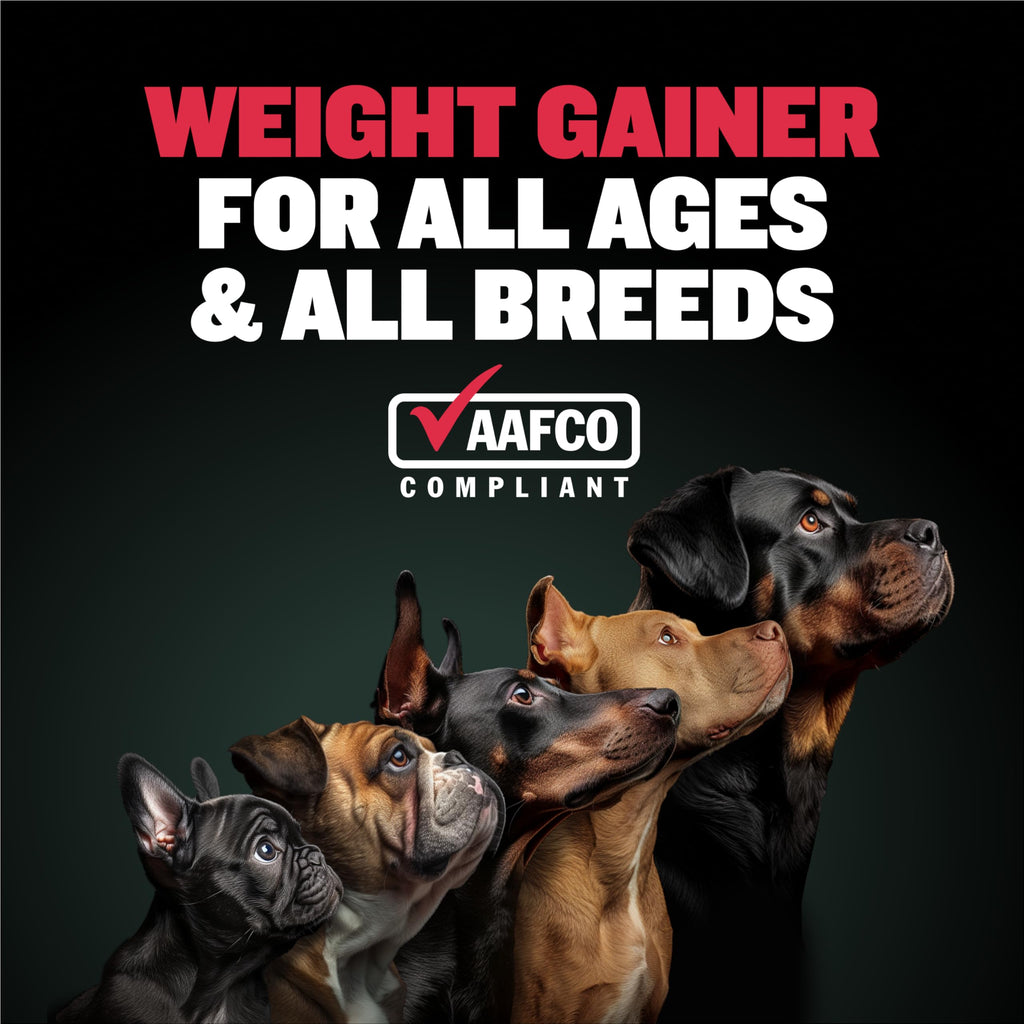 Dog Weight Gainer Soft Chews Liquid Gel Supplement & Muscle Builder Power Tabs Bundle I745