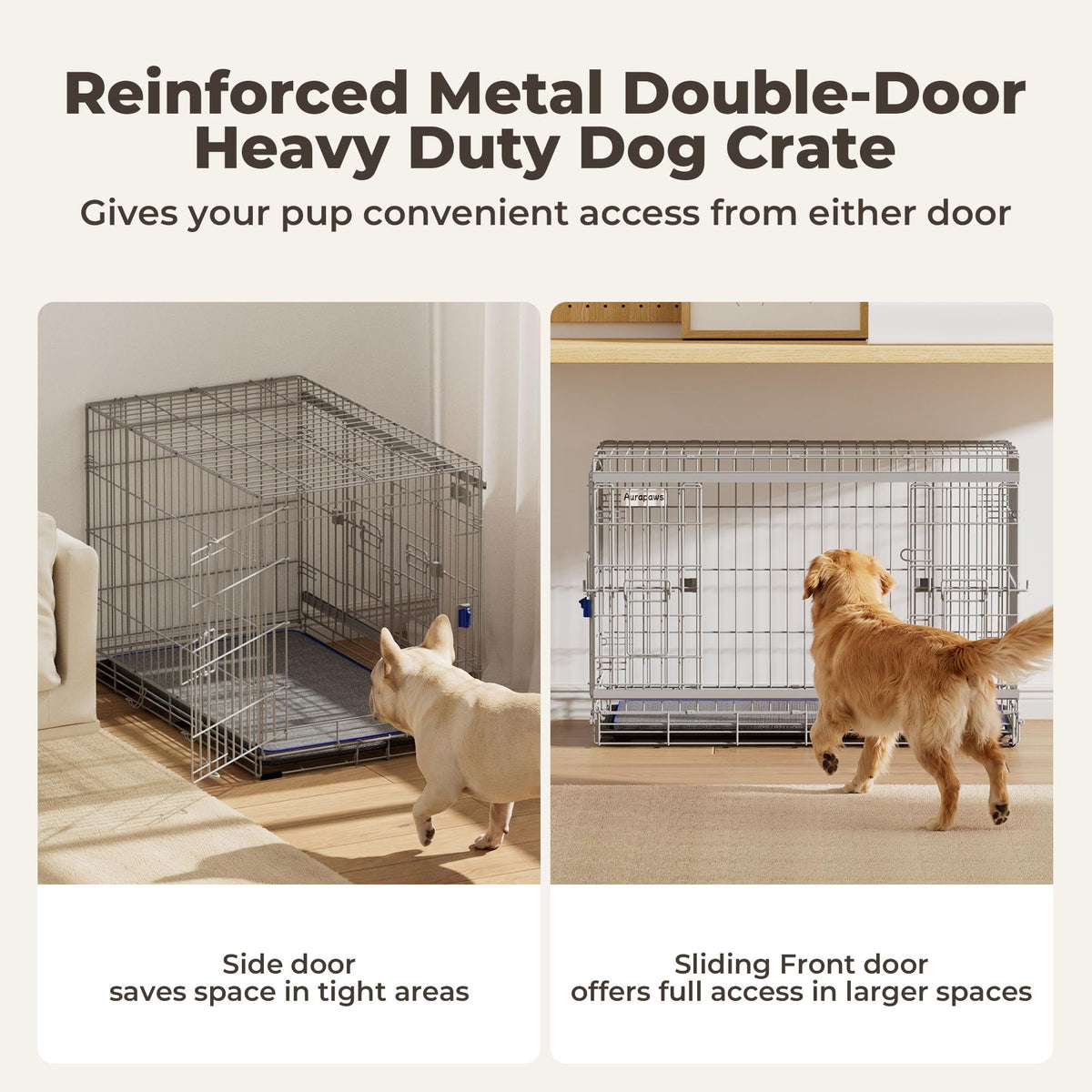 36 Inch Collapsible Dog Crate H900