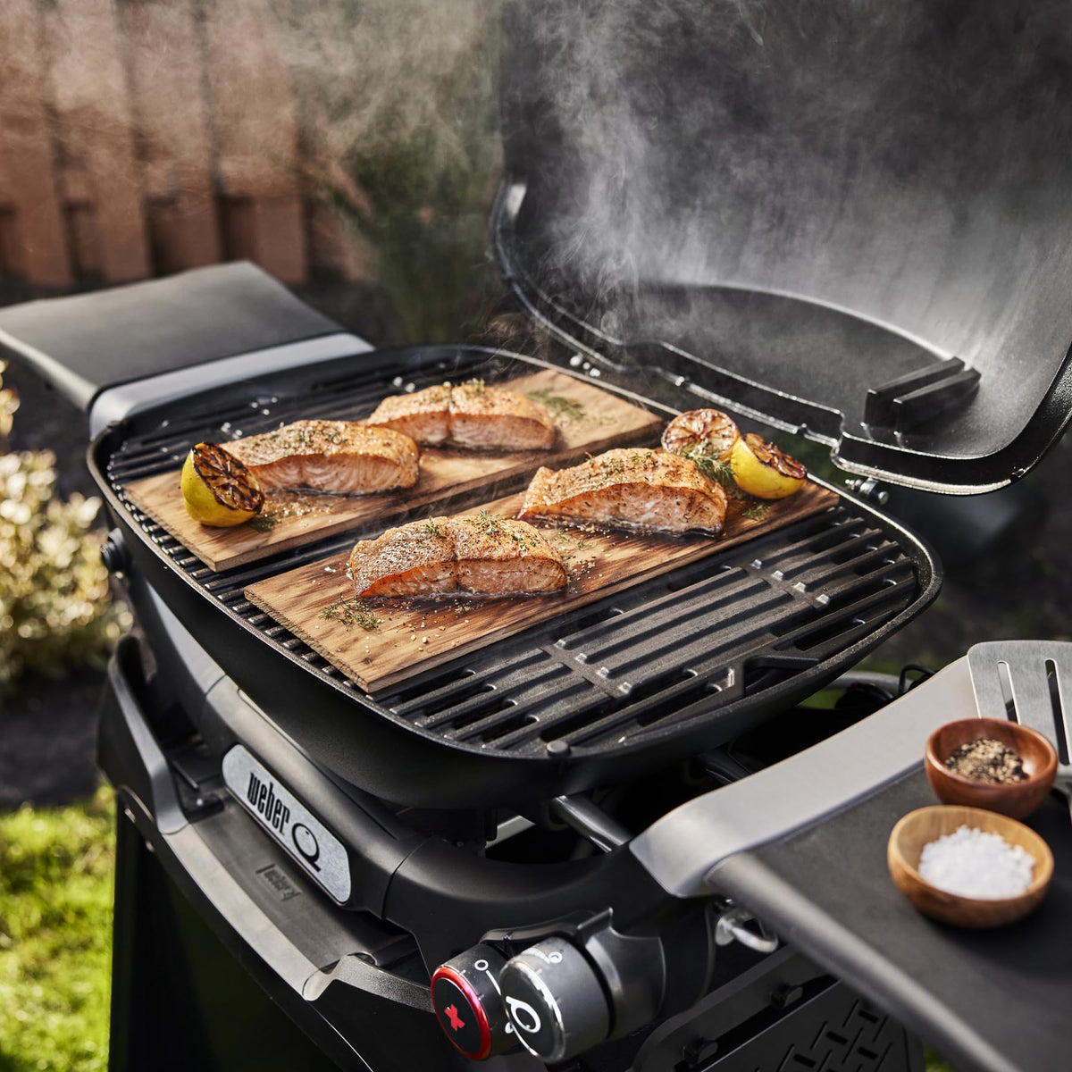 Liquid Propane Grill with Stand Q675