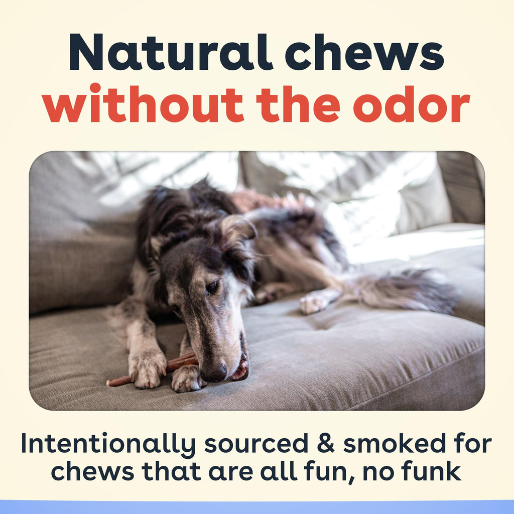 Bully Sticks for Dogs & Puppies, 6", 10 Count Q2319