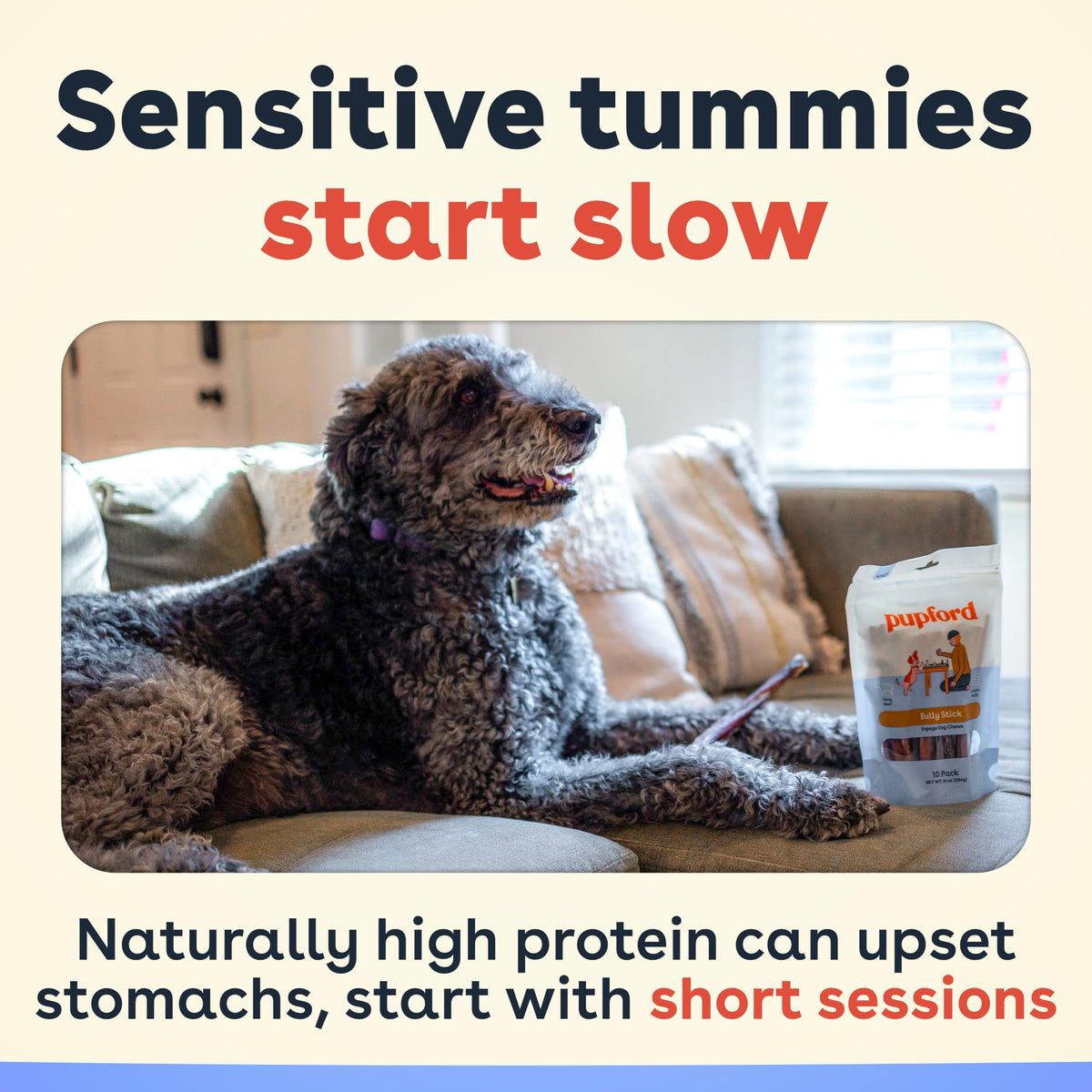 Bully Sticks for Dogs & Puppies, 6", 10 Count Q2319