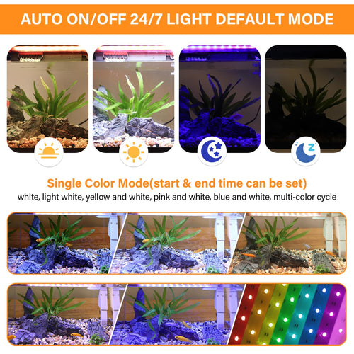 10 Gallon Glass Aquarium Starter Kit with Light Heater Pump Filter E163699