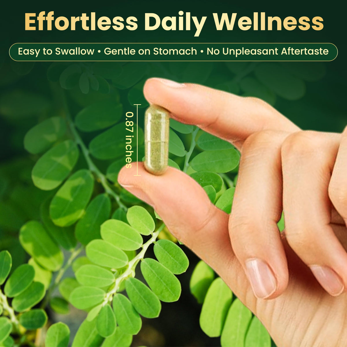 Moringa Capsules 1600mg 120 Vegan Capsules C3543