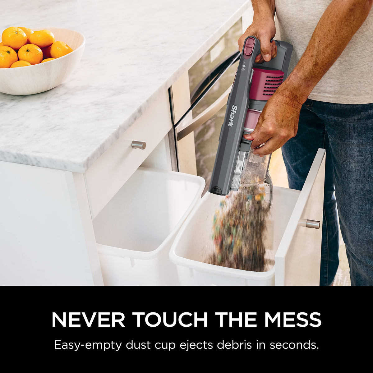 Cordless Stick Vacuum C796824