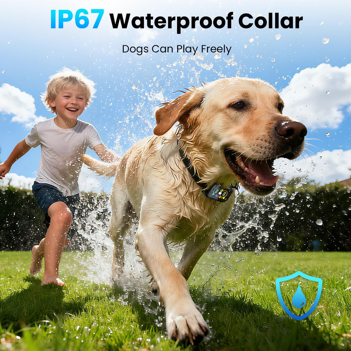 2-in-1 Dog Bark Collar with Remote, 3 Modes, IP67 Waterproof C95368