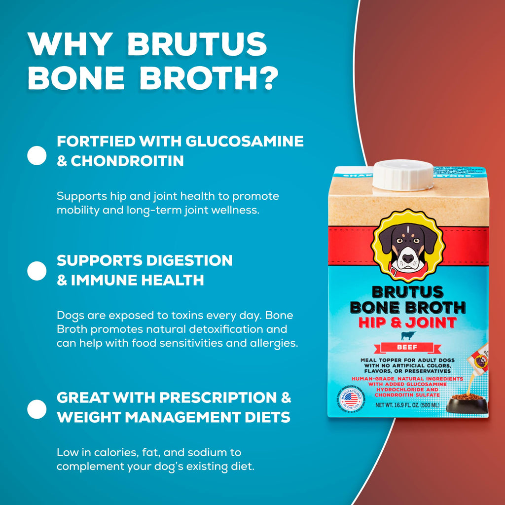 Bone Broth for Dogs with Chondroitin Glucosamine Turmeric 16.9oz Pack of 6 W643072