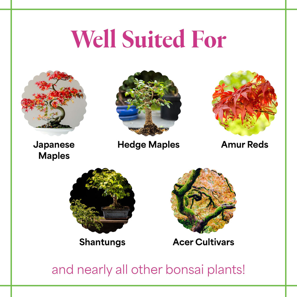Organic Liquid Bonsai Fertilizer 8 oz Concentrate Z442